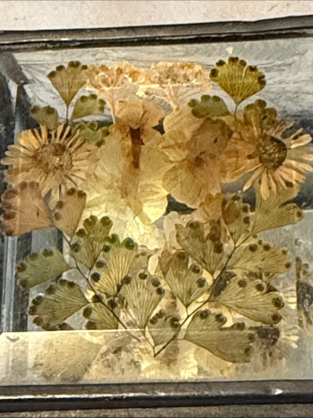 Vintage trinket box with metal edges and dried flowers on top. Mirror bottom.